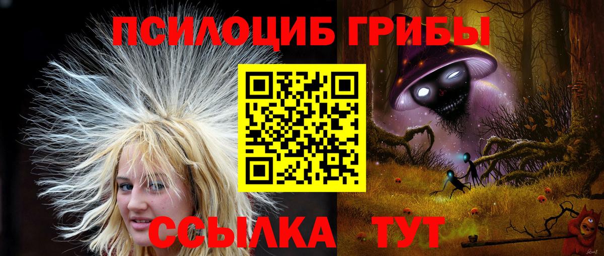 Псилоцибиновые грибы Psilocybe  Вход с VPN  Назрань  Псилоцибиновые грибы Cubensis 